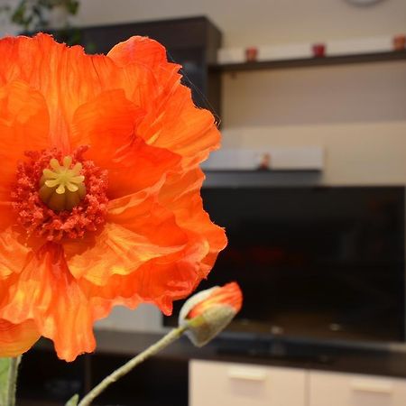 Aguona Apartament Apartment ดรูซกินินไก ภายนอก รูปภาพ